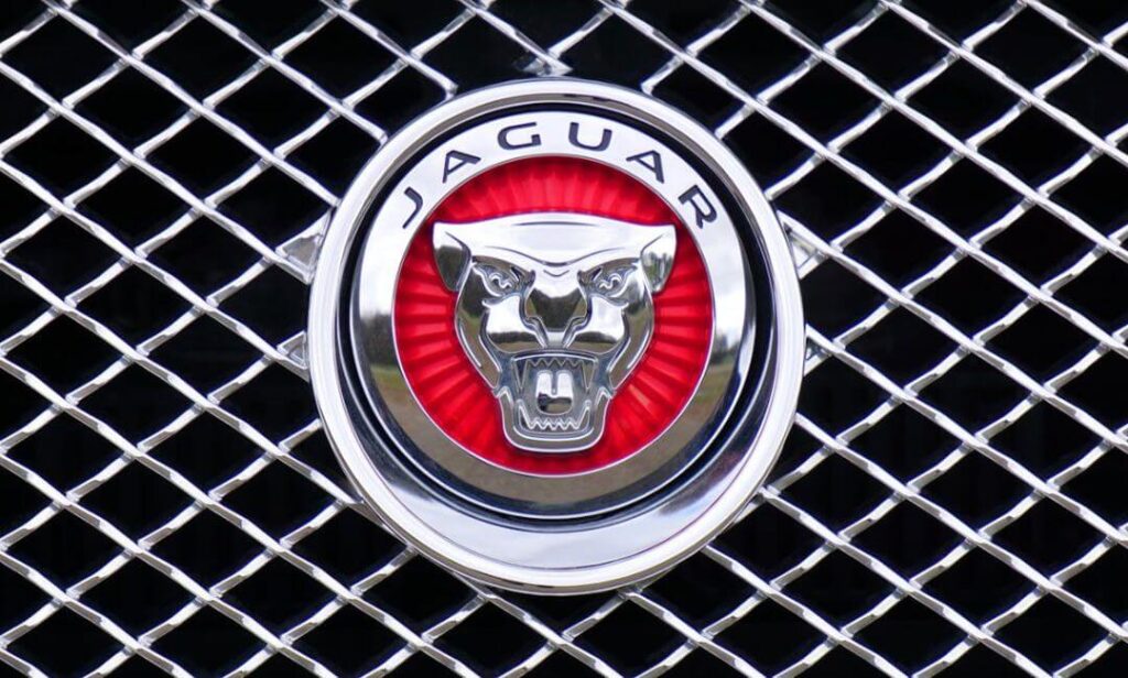 Jaguar Emblem
